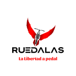 Logo 1 removebg preview